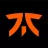 TEAM OF FNATIC FANS