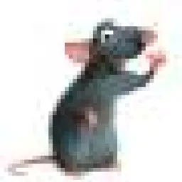 Profile picture for user the RAT