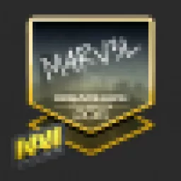 Profile picture for user M4RV3L