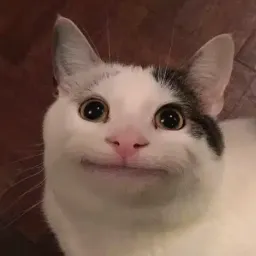 Profile picture for user Urdont