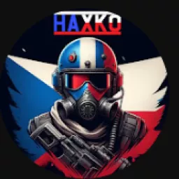 Profile picture for user HAXKO