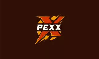 Profile picture for user peks